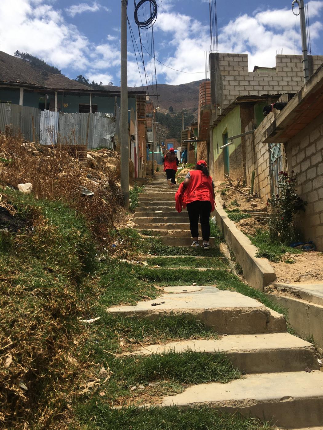 Censistas subiendo una escalera de ladera